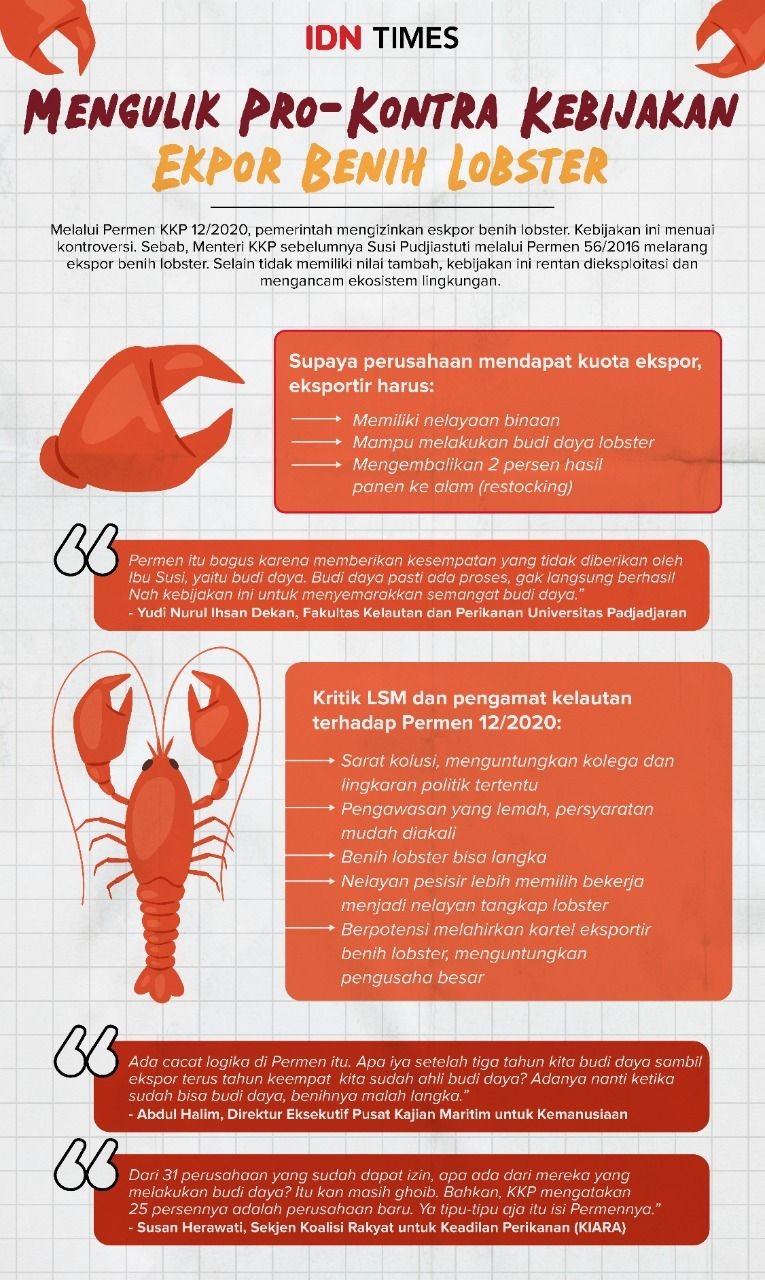 Pengusaha Sulsel Klaim Tak Terkait dengan Suap Izin Ekspor Lobster 