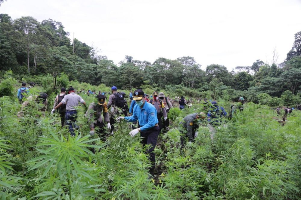 Polres Jakbar Gagalkan Penyelundupan 7 Karung Ganja