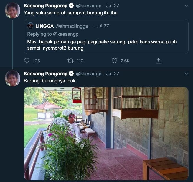 8 Jawaban Kocak Kaesang Saat Ungkap Kebiasaan Penghuni Istana Negara