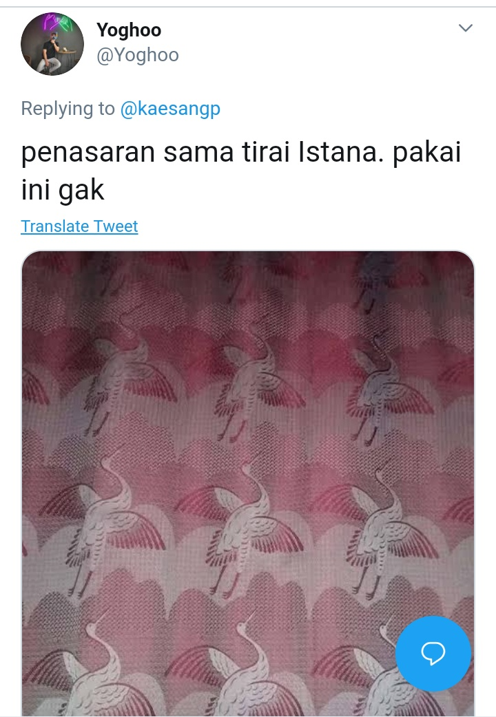 Gokil, Kaesang Bongkar Penampakan Gayung hingga Tempat Gula di Istana