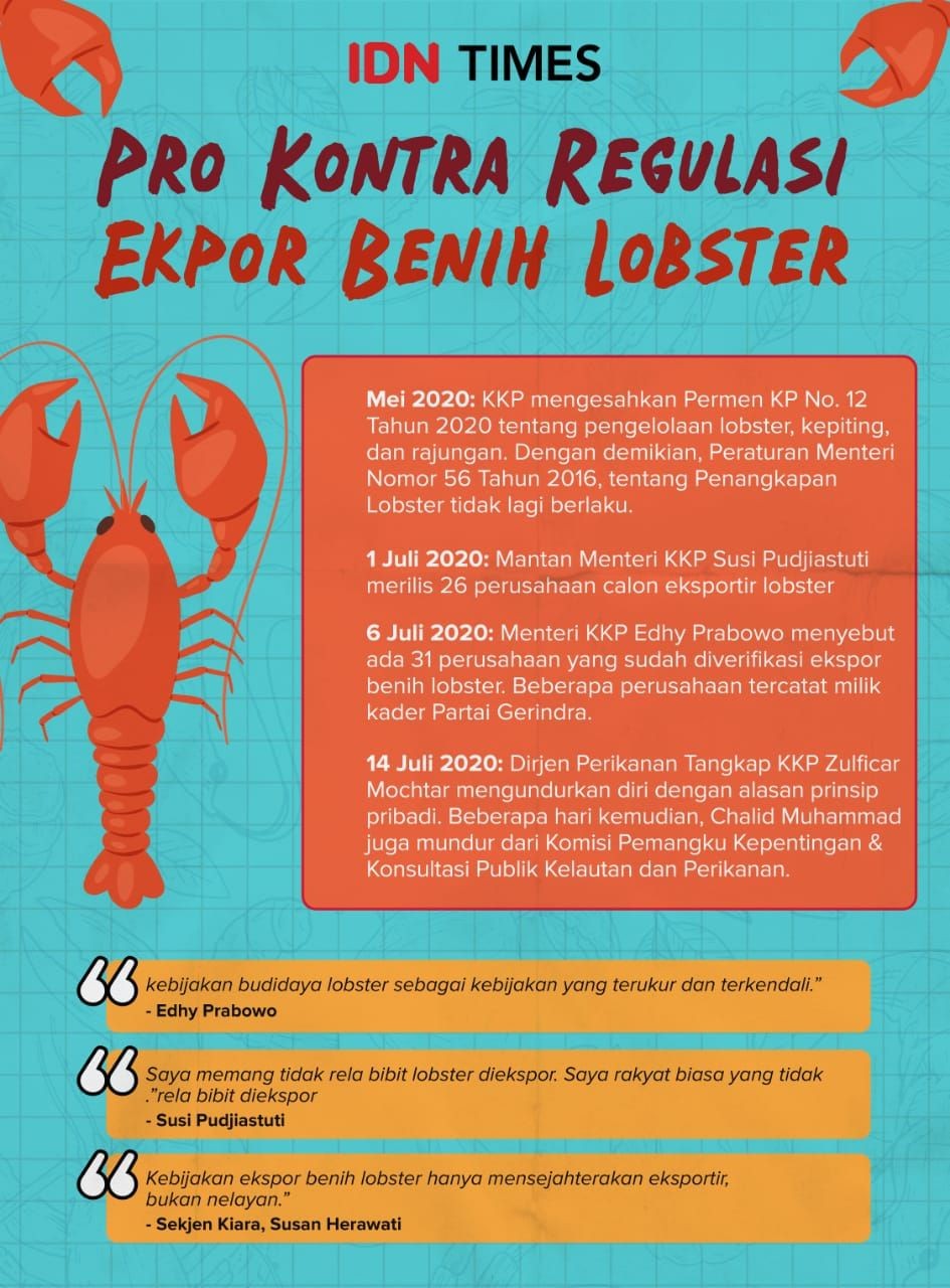2.376 Nelayan Pantai Selatan Jateng Puyeng Ekspor Benih Lobster Mandek