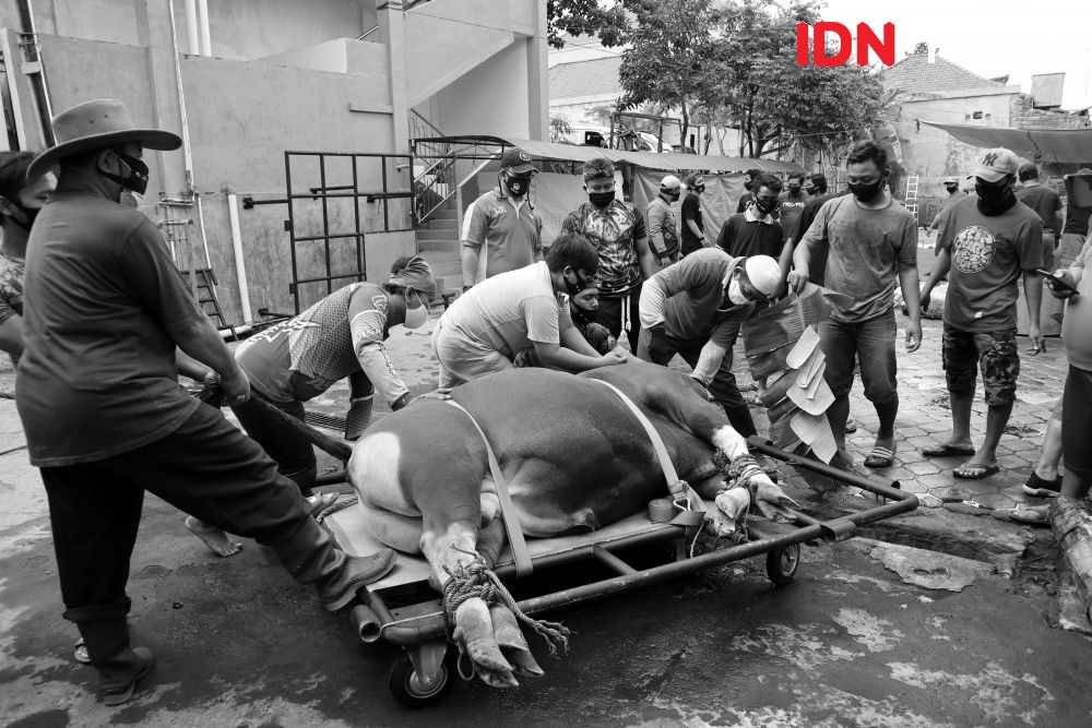 DPW LDII Bali Bagikan Daging Kurban Menggunakan Besek