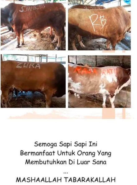 10 Keseruan Idul Adha Syahrini Plus Rayakan Ultah Keponakan Kembar