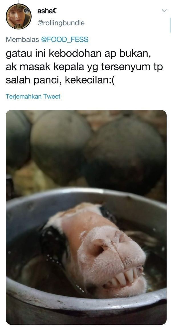 10 Momen Malang saat Pesta Daging Kurban, Pasrah Gak Jadi Makan
