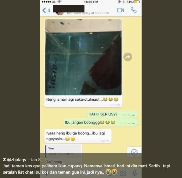 10 Chat Dengan Ibu Kos Ini Endingnya Ngeselin Bikin Geregetan