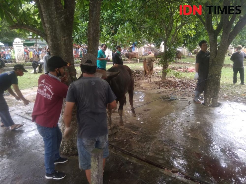 Wagub Kaltim Pimpin Penyembelihan Hewan Kurban di Samarinda