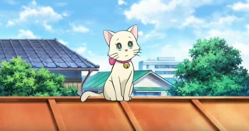 5 Kucing yang Pernah Jadi Pacar Doraemon, Lucu Banget Deh!