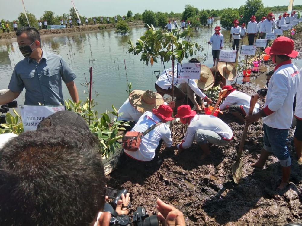 Pemerintah Restorasi Lahan Mangrove di Sekitar Kawasan IKN