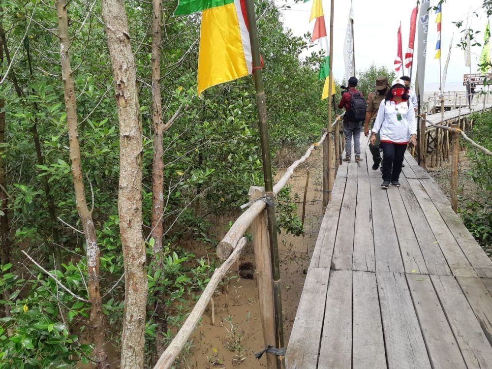 20 Persen Kawasan Mangrove Sumsel Rusak Akibat Alih Fungsi Hutan 