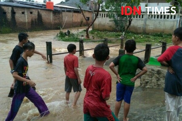 Imbas Hujan Deras di Lampung, Pohon Tumbang, Longsor hingga Banjir