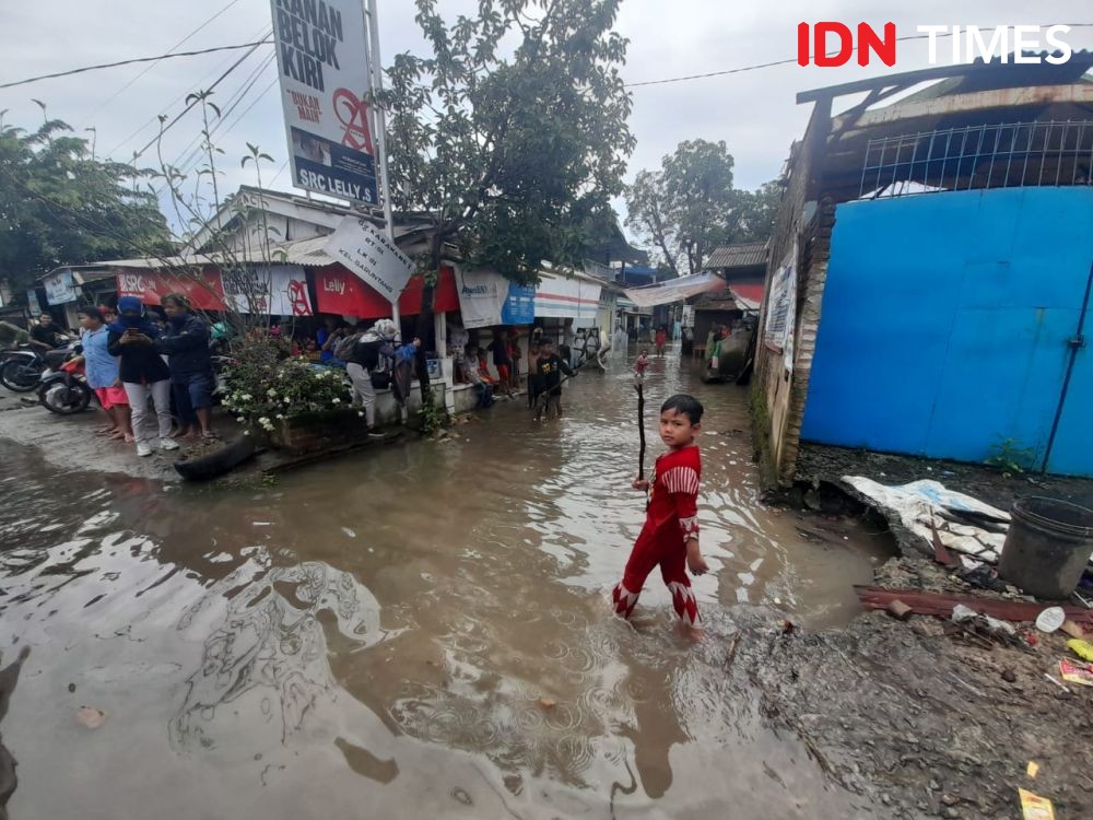 Imbas Hujan Deras di Lampung, Pohon Tumbang, Longsor hingga Banjir