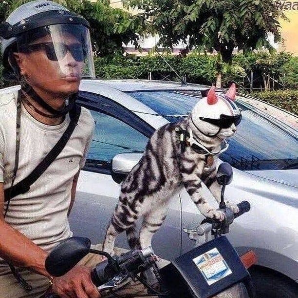 Kocak! 10 Potret Gaya Pengendara Motor Ini Aneh Bin Ajaib
