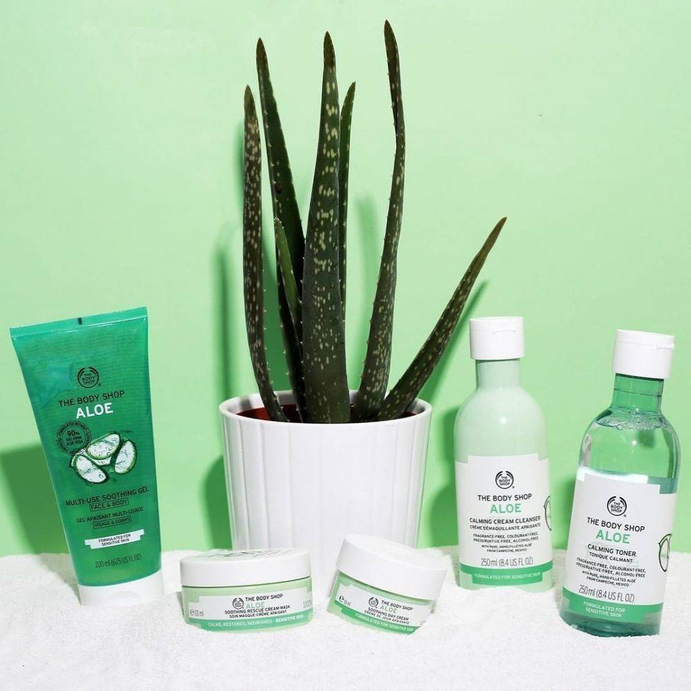 Skincare Yang Mengandung Aloe Vera