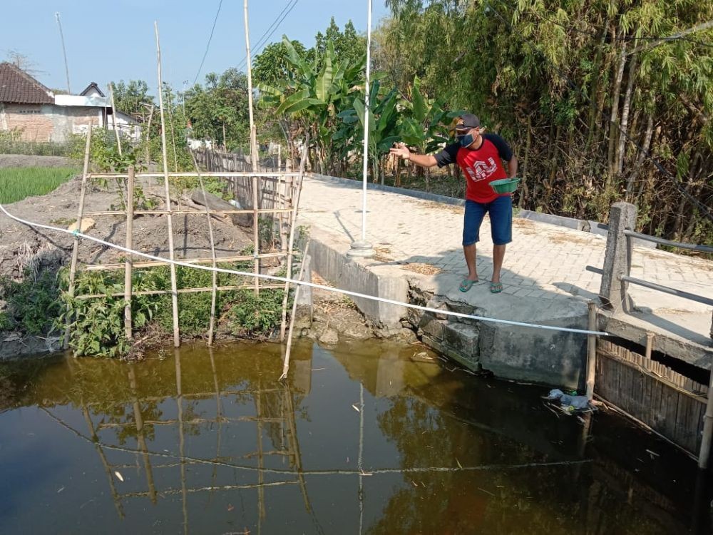 Pemuda Lamongan Sulap Saluran Irigasi Sawah Jadi Tempat Budidaya Ikan