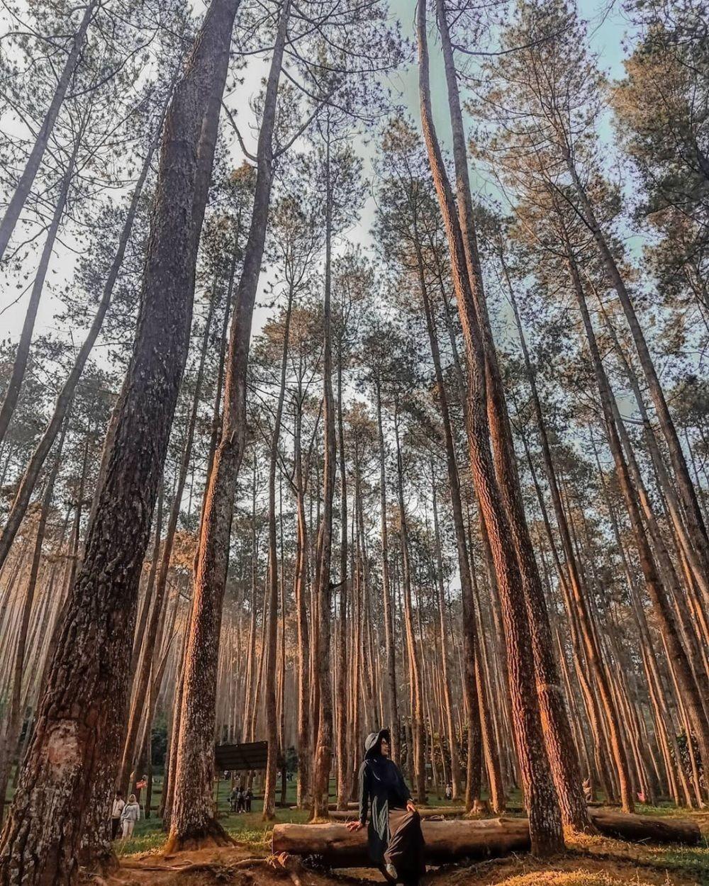 Tempat Buruan Wisata Di Bandung