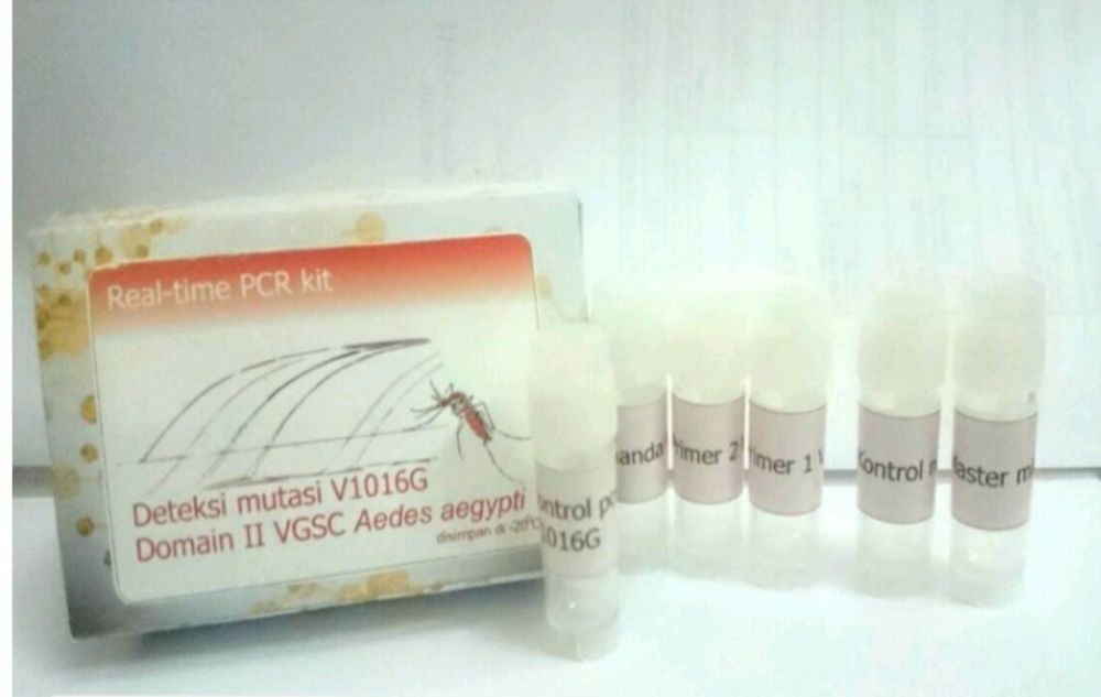 Peneliti FKH UGM Kembangkan Kit Deteksi Nyamuk Aedes yang Bermutasi