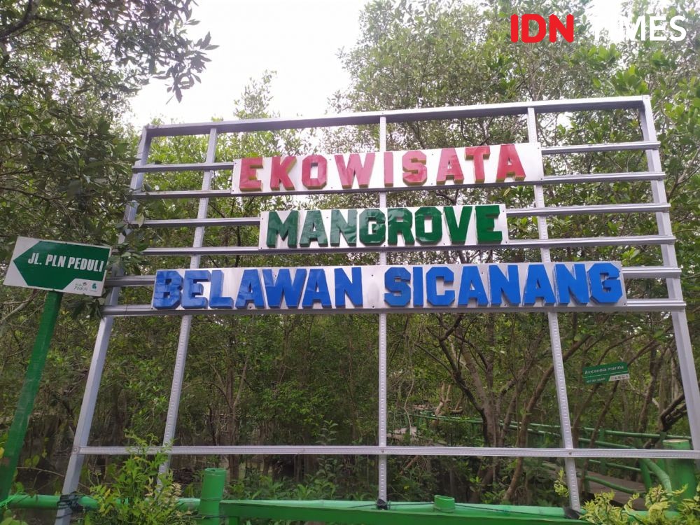 12 Potret Sicanang, Wisata Hutan Mangrove Terakhir di Medan Belawan