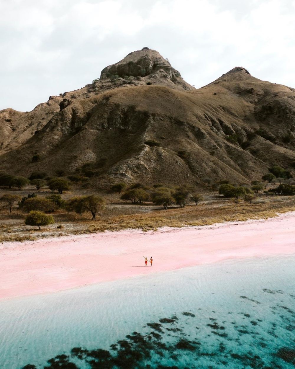 Wisata Pantai Pink Labuan Bajo: Lokasi, Rute, Harga, Aktivitas Serunya