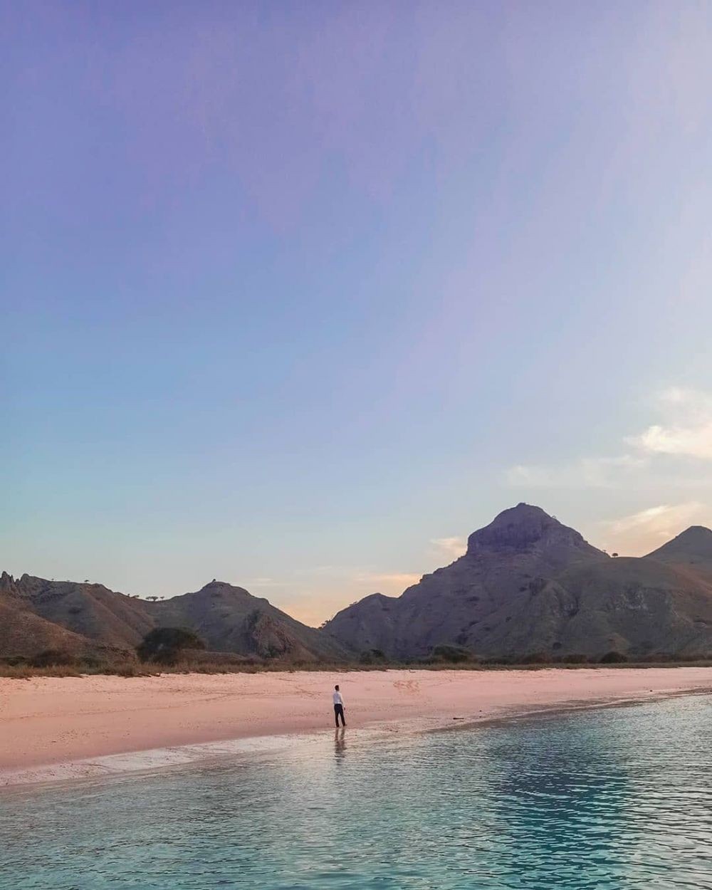 Wisata Pantai Pink Labuan Bajo: Lokasi, Rute, Harga, Aktivitas Serunya