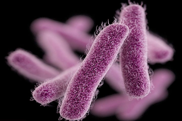 Hati-hati, 7 Bakteri Ini Bisa Menular lewat Toilet!