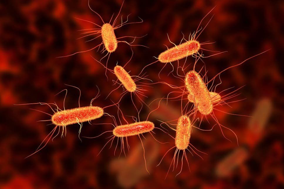 Hati-hati, 7 Bakteri Ini Bisa Menular lewat Toilet!