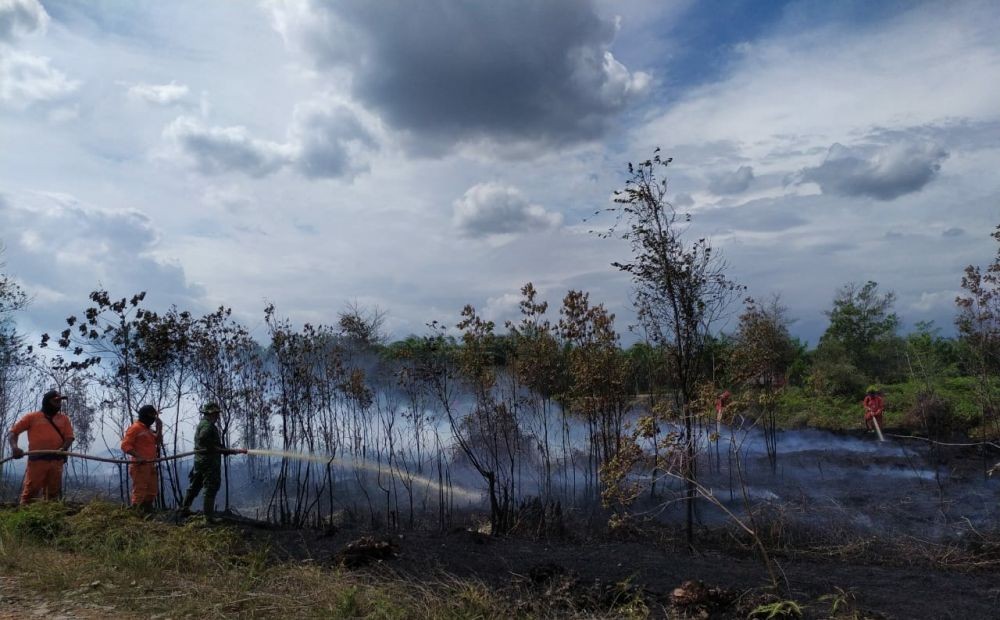 Kebakaran, Api Lalap 53 Hektare Lahan di Dua Kabupaten