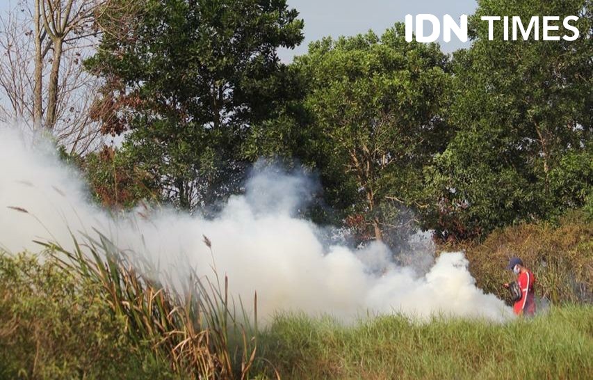 Kebakaran Hanguskan Puluhan Hektare Lahan Rawa Tidur di Ogan Ilir 