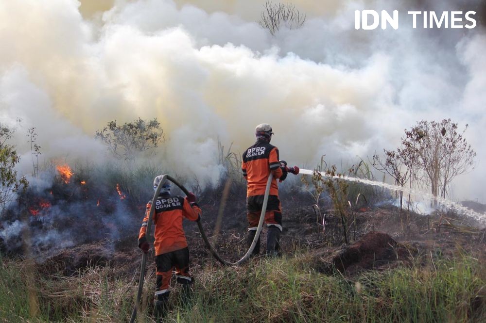 Kebakaran Hanguskan Puluhan Hektare Lahan Rawa Tidur di Ogan Ilir 