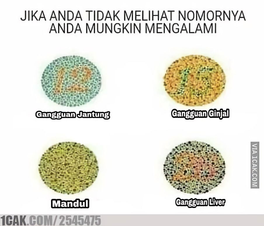 10 Meme Tes Mata Ini yang Sebaiknya Jangan Kamu Coba, Bikin Kesel