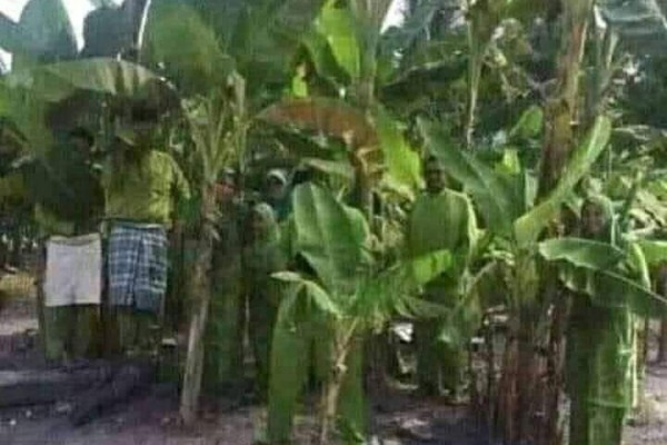 10 Meme Tes Mata Ini yang Sebaiknya Jangan Kamu Coba, Bikin Kesel