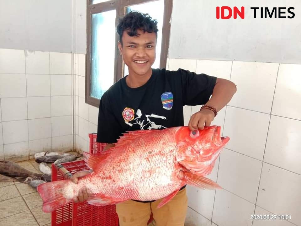 Nelayan Pangandaran Panen Ikan Ditengah Ancaman Cuaca Buruk  