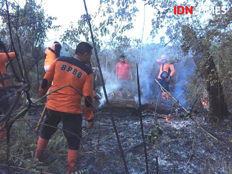 Bukit Lanap Lahat Terbakar, Hutan Seluas 3 Hektar Hangus
