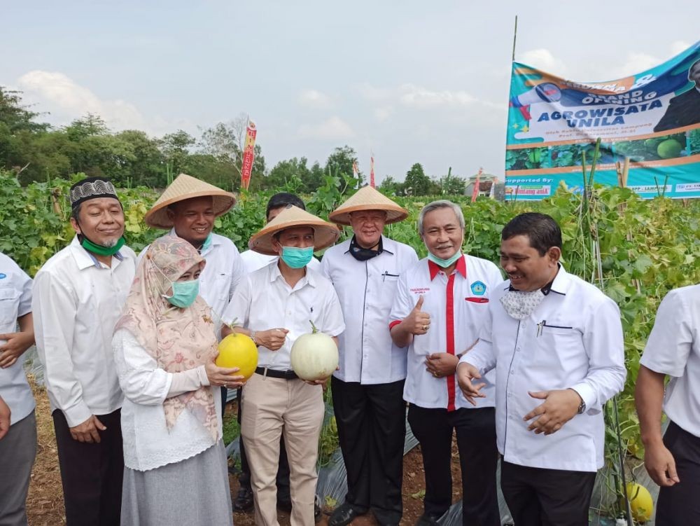 Agrowisata Unila “Surganya” Melon Lampung, Beli Buah Rp10 Ribu/Kg