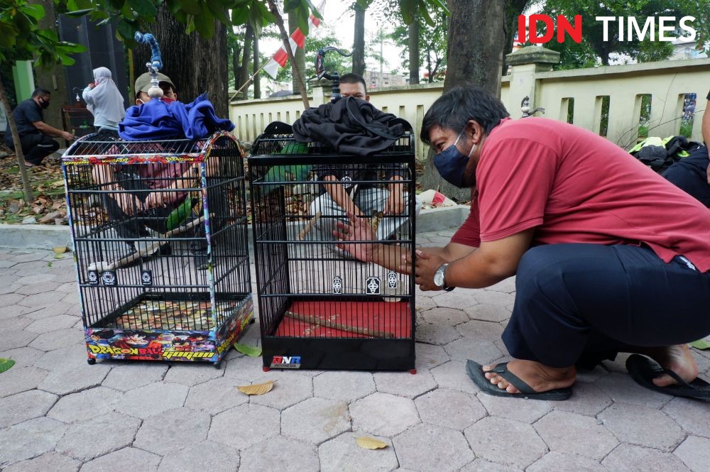 Penyelundupan Kura-kura Langka dan Burung Digagalkan di Kualanamu