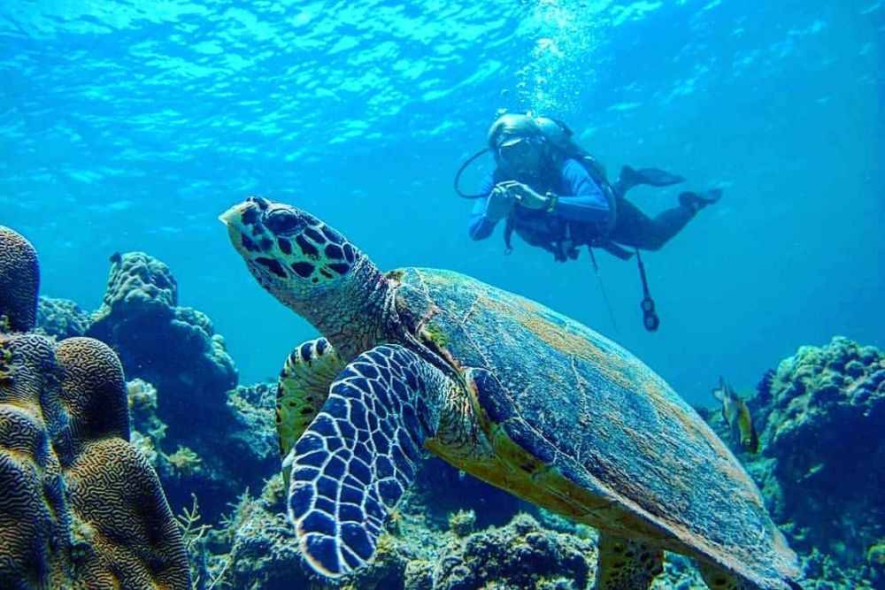 Syarat dan Aturan Terbaru Liburan di Pulau Seribu Selama New Normal 