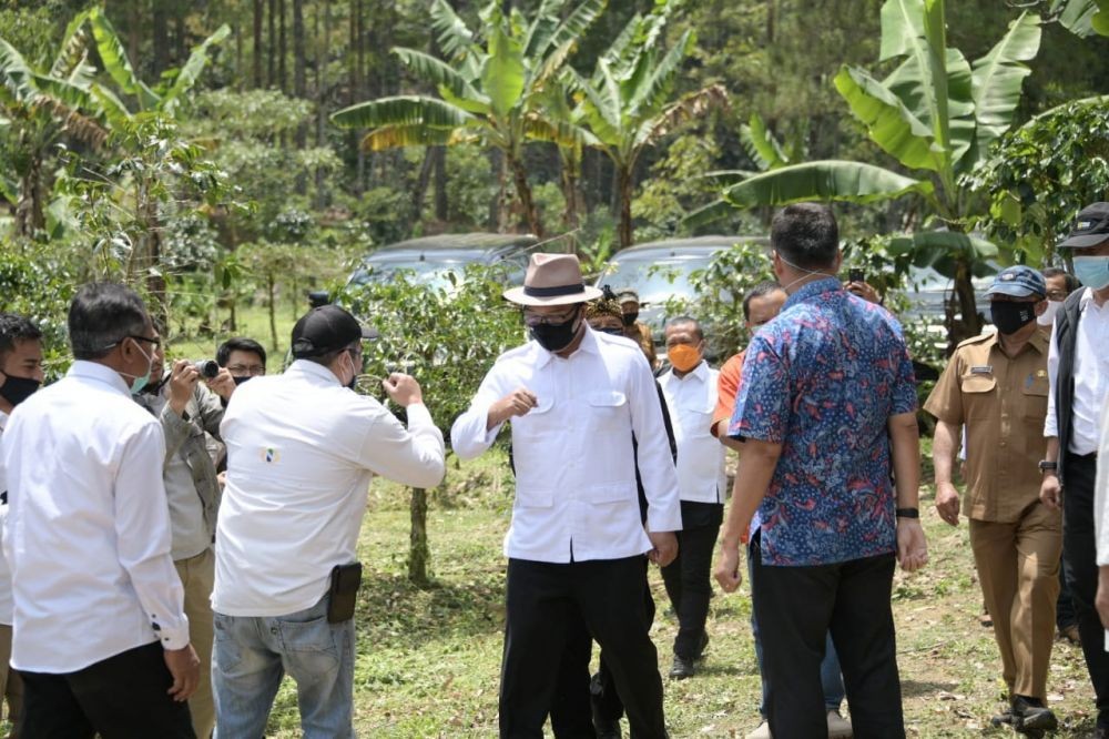 Pemprov Jabar ubah 1.000 Hektare Tanah PTPN Jadi Peternakan Sapi Perah