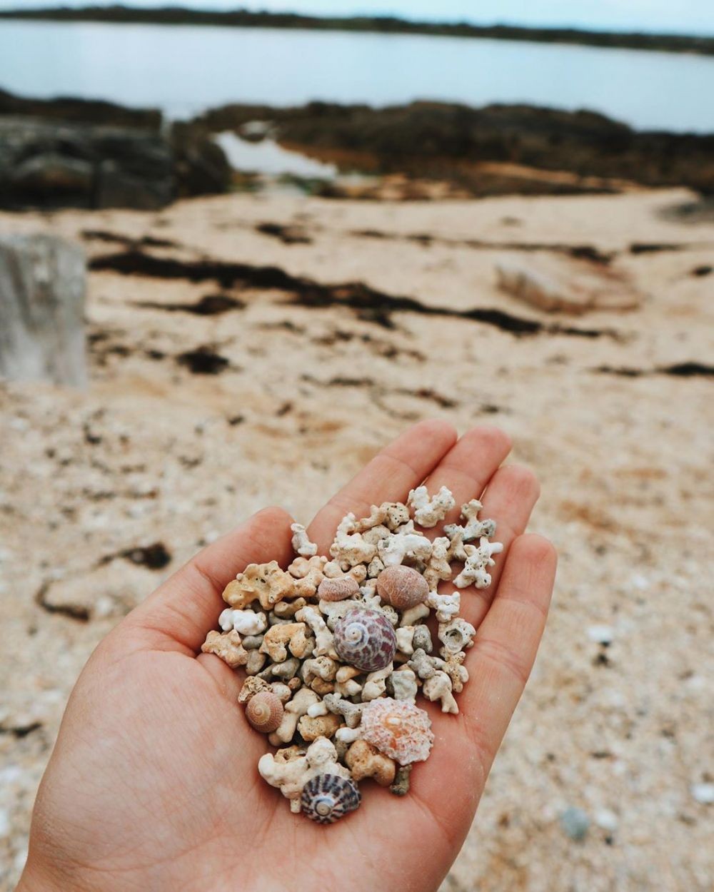 9 Pantai Tanpa Pasir Terbaik di Dunia, Indonesia Salah Satunya