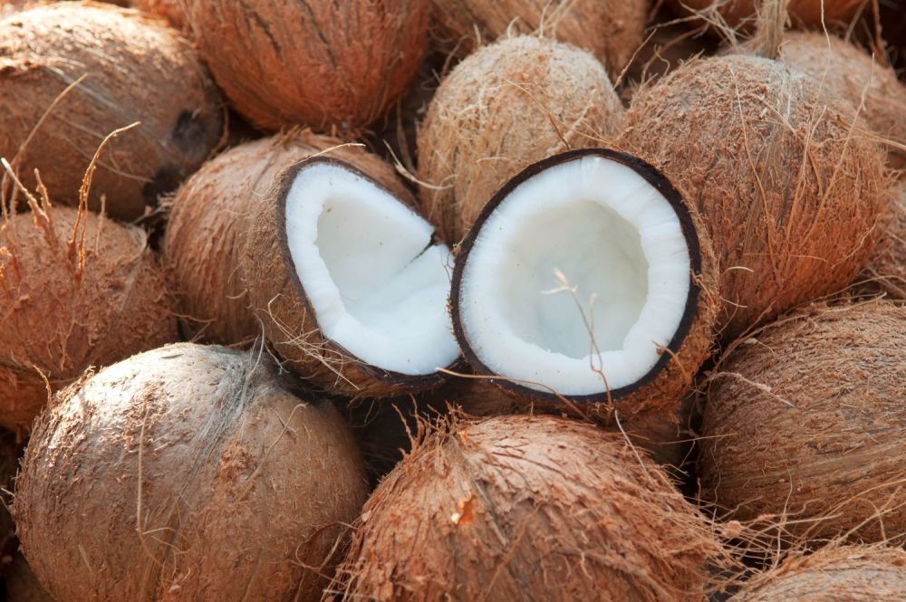 7 Cara Memilih Kelapa Untuk Santan Beserta Tips Membuatnya