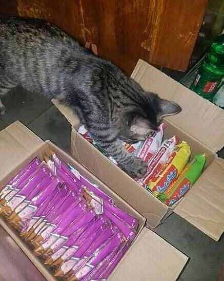 10 Potret Kocak Gara-gara Gagal Makan Enak, Kok Sial Banget Ya?