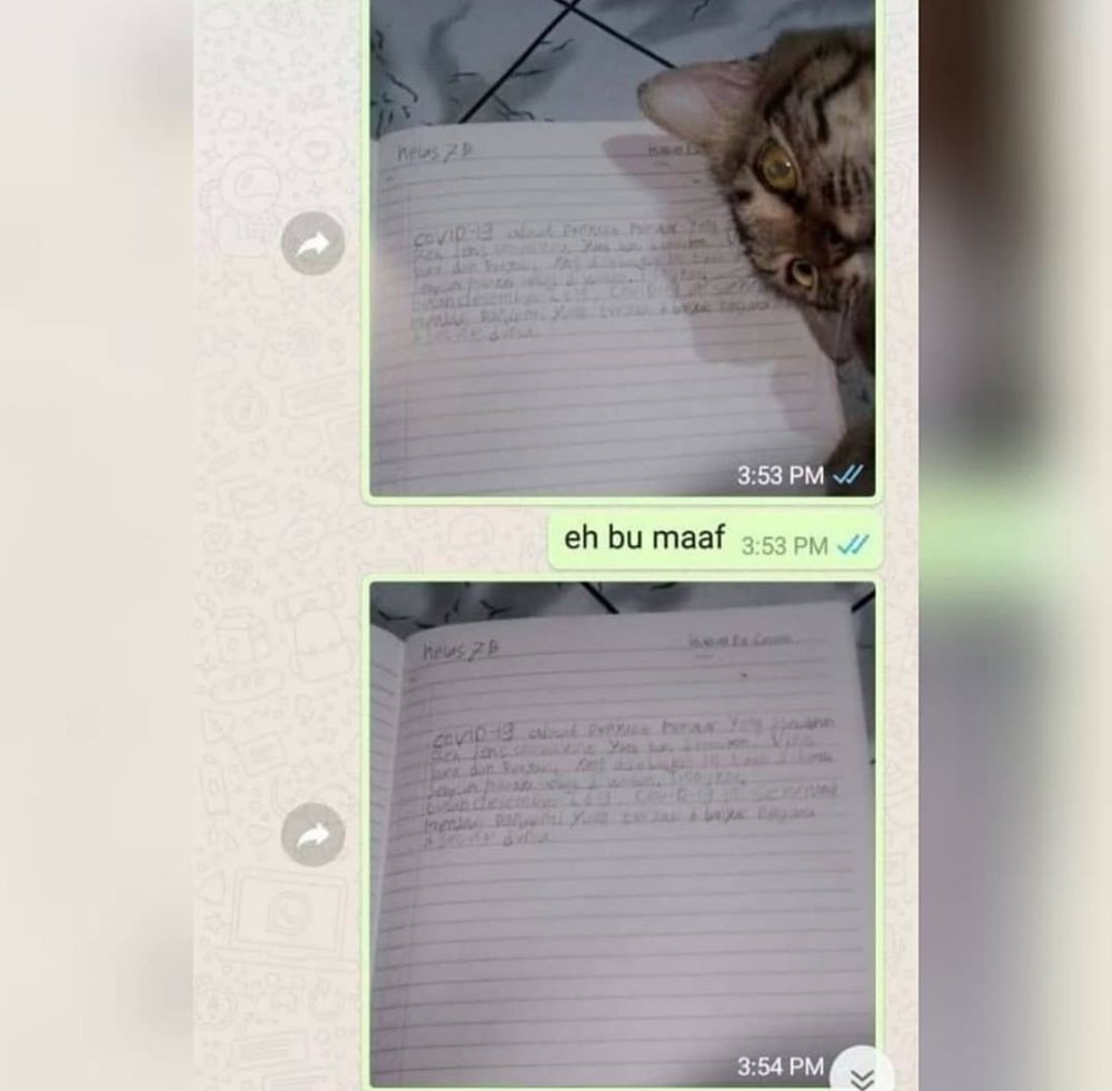Bikin Tepok Jidat, 10 Chat Kocak Murid saat Ngumpulin Tugas Online