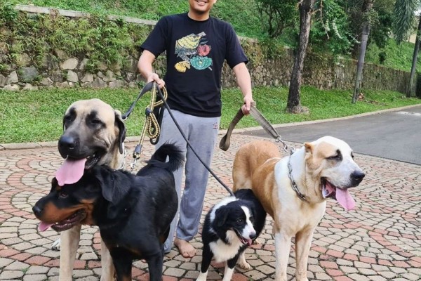 Krisdayanti dan 9 Artis Muslim Ini Punya Anjing Kesayangan