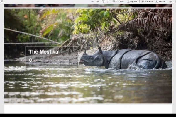 World Rhino Day, Bagaimana Kondisi Badak Jawa di Ujung Kulon?