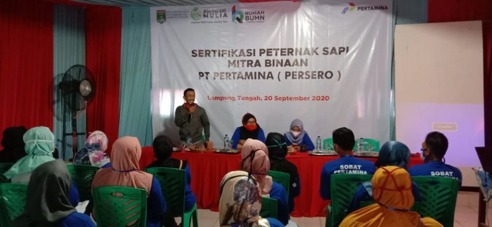 Kisah Lansia Peternak Sapi Lampung, Omzet Penjualan Bisa Rp1,4 Miliar