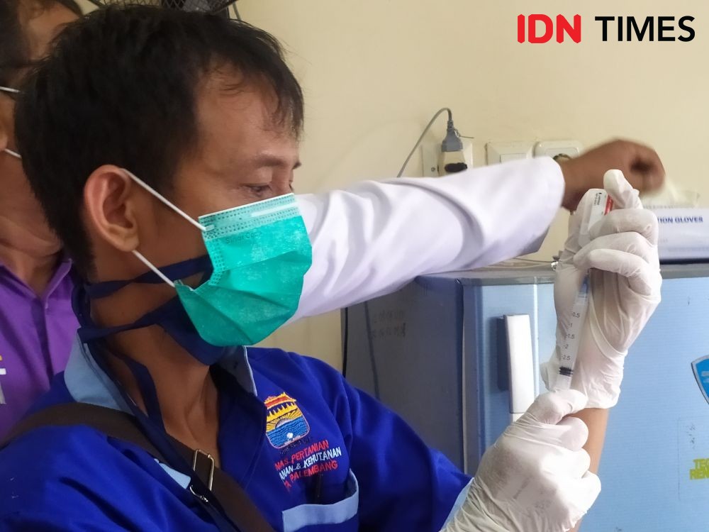 DPKP Palembang Sediakan 2.000 Vaksin Gratis Bagi Hewan Peliharaan