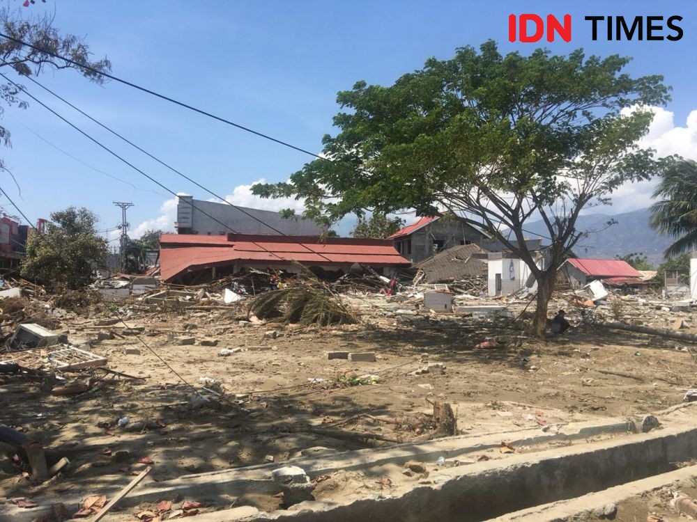 Aksi Iklim Anak-Anak Donggala: Tanam Bakau Cegah Bencana Banjir Rob