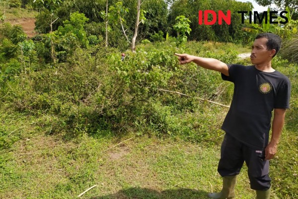 Sengkarut Tanah Desa Cikalong KBB, Pembeli Klaim dapat Restu Penggarap