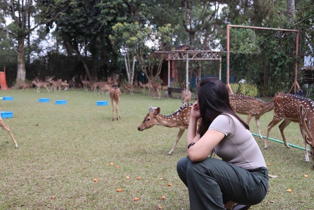10 Potret Wulan Guritno dan Keluarga Main Bareng Rusa Totol, Gemesin!