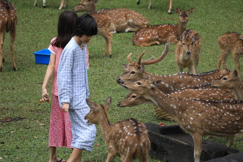 10 Potret Wulan Guritno dan Keluarga Main Bareng Rusa Totol, Gemesin!
