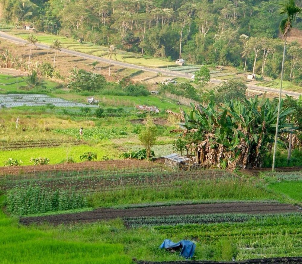 10 Desa Wisata Terbaik di Indonesia, Alternatif Liburan Usai Pandemik