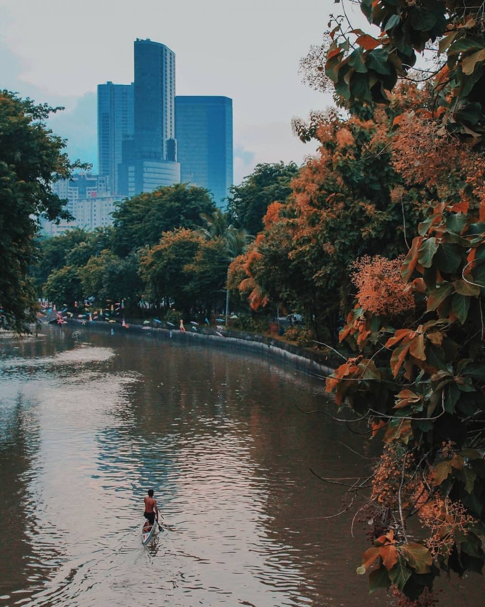 Surabaya Punya Satu Lagi Wisata Susur Sungai di Kejawan Putih